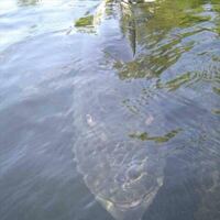 海洋恐怖症なのでしょうか 海洋恐怖症なのかわからずネットで診 Yahoo 知恵袋