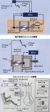 回答の画像