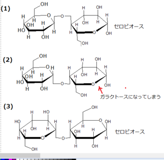 スクロースもマルトースもグリコシド結合は下向きなのに なぜ セロ Yahoo 知恵袋