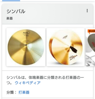 ディズニーで小型シンバルは使えるのですか 自撮り棒が禁止されているこ Yahoo 知恵袋