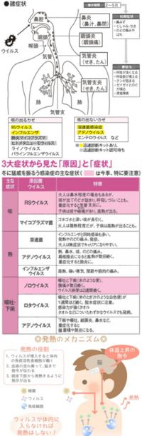 夕方から夜になると微熱が出る3日ほど前から 夕方から夜になると37 Yahoo 知恵袋