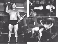 昔のプロレスラーの大半は自重トレーニングで鍛えてたと聞きました腕立て Yahoo 知恵袋