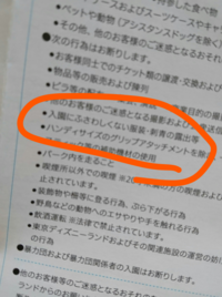 最速 タトゥー ディズニーランド