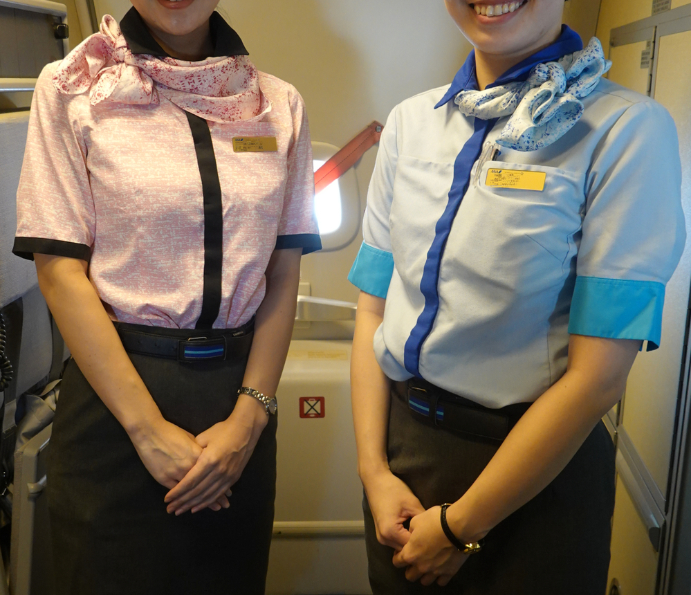 ANA CAスカーフ 客室乗務員 送料無料｜全日本空輸(ANA)