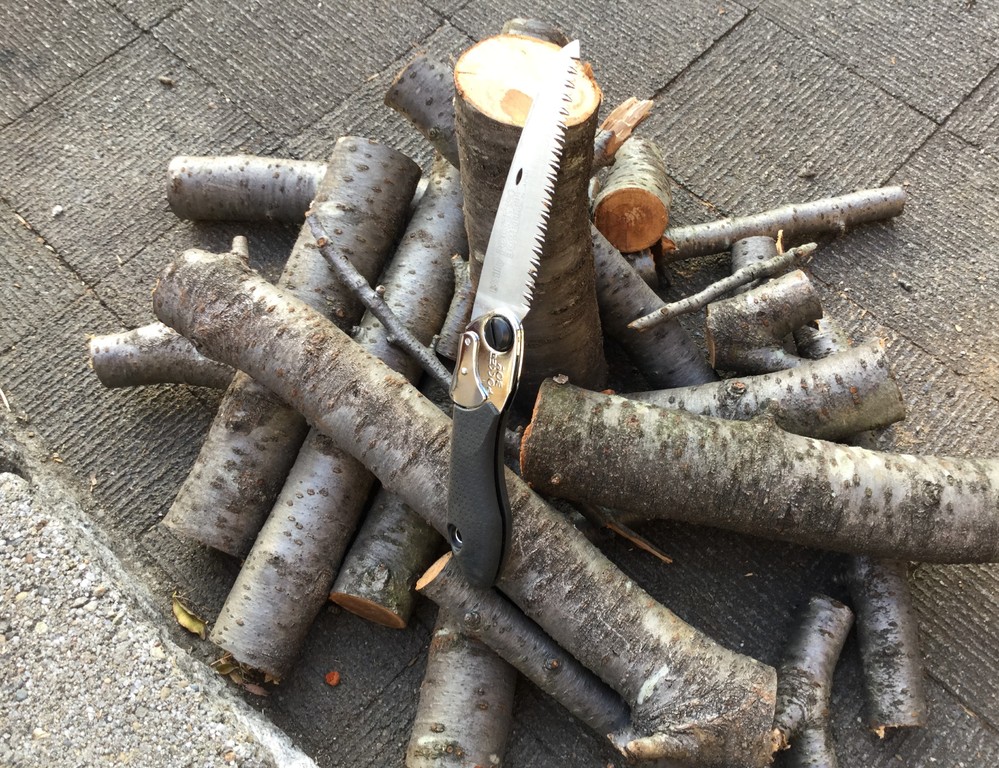 公園で拾った小枝は薪になりますか？ - それでキャンプ場で焚き火して 