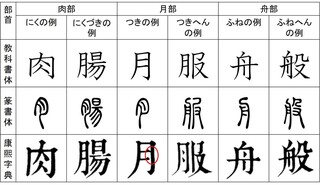 服や肘のように左側に月がつく場合 にくづきとつきへんの違いって何ですか Yahoo 知恵袋