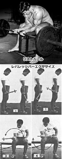 リストカールで前腕は太くなりますか Yahoo 知恵袋