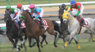 競馬顔がとにかく大きかったg1馬はビワハヤヒデ以外にいますか Yahoo 知恵袋