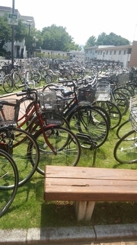 春から高崎経済大学に通うことになっているので 在学中の先輩や卒業生の方に Yahoo 知恵袋