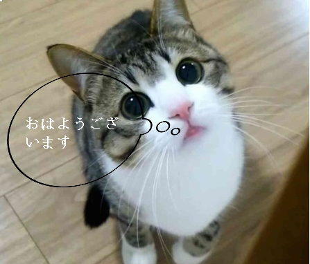 44323762_6
