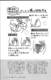 子宮の向き 前屈 後屈 について教えてください 最近 Yahoo 知恵袋