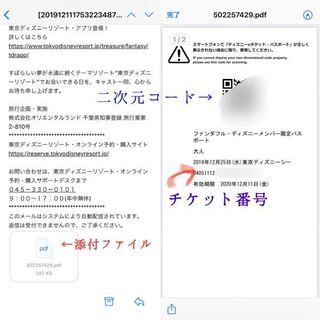 ディズニーの返金サイトでチケットの返金手続きを取ろうと思った Yahoo 知恵袋