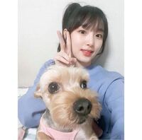 Iz Oneのイェナって犬飼ってるんですか 飼ってます Yahoo 知恵袋