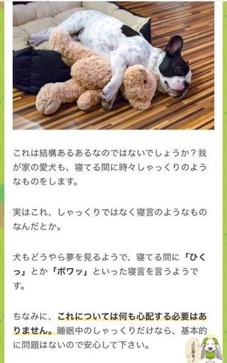 先日 うちの犬 チワワ メス 老犬 が 寝ながらしゃっくりをしていまし Yahoo 知恵袋