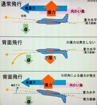 飛行機はなぜ背面飛行ができるのでしょうか アクロバット飛 Yahoo 知恵袋