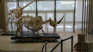 Mr Children1992 1995のアルバムのジャケットの恐 Yahoo 知恵袋