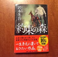 孤独な登場人物が孤独を克服する あるいは孤独を受け入れることがテーマ Yahoo 知恵袋