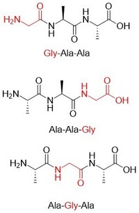 アラニン２分子 グリシン1分子が結合したトリペプチドは 何通りあ Yahoo 知恵袋