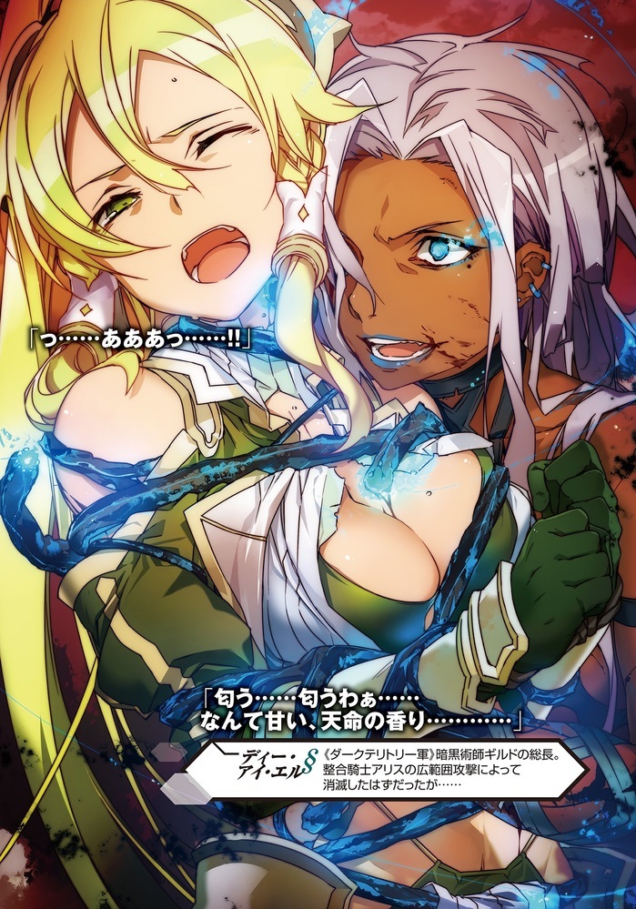 リズベット 剥ぎコラ 