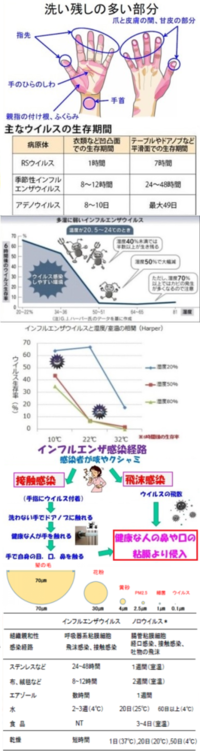 回答の画像