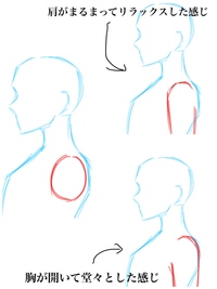 横顔での肩の描き方を教えてください あと まだラフなんですけどこ Yahoo 知恵袋