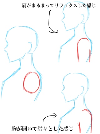 横顔での肩の描き方を教えてください あと まだラフなんですけどこ Yahoo 知恵袋