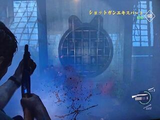 Thelastofusremasteredの設定で メダル表示 って Yahoo 知恵袋