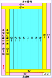 田植えの上手な仕方があれば参考までに教えて下さい 5条 Yahoo 知恵袋