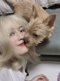 Twiceももりんが犬飼い始めたみたいですが どこで飼ってるんでしょう Yahoo 知恵袋