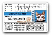 お宅のネコちゃんは マイニャンバーカードを持っていますか Yahoo 知恵袋