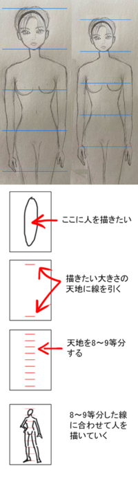 人体が苦手です デザイン画みたいな綺麗な体のバランス8 9等身 Yahoo 知恵袋