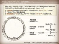 多嚢胞性卵巣症候群の治療で薬以外に出来ることって何がありますか 摂取したほう Yahoo 知恵袋