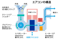 回答の画像