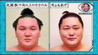 力士が結っているまげは ちょんまげですか 全く違う物ですか Yahoo 知恵袋