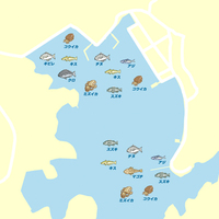 唐津市の国民宿舎いろは島辺りで 釣りをしたいと思ってます だけど サ Yahoo 知恵袋