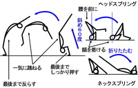 体操や体育のマット運動の技 首跳ね起き ネックスプリング に Yahoo 知恵袋