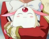 白鳥由里さん担当のアニメ ゲームのキャラで 好きなキャラを教えて下さ Yahoo 知恵袋