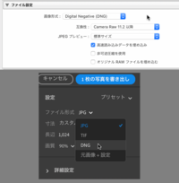 Adobelightroomは現像あとのrawファイルでの書き出しについて Yahoo 知恵袋