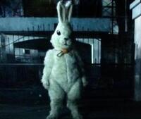 日本のホラー映画で うさぎかクマの着ぐるみが出てきて 人を殺して Yahoo 知恵袋