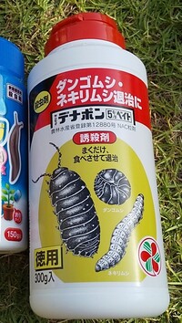 玄関の前に植木があるため 湿気が多いとだんごむしが大量発生しそれを餌にくもが出て 教えて 住まいの先生 Yahoo 不動産