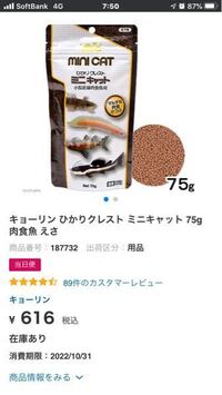 昨日ナマズの稚魚を用水で捕まえて 今飼っています ナマズの稚魚には Yahoo 知恵袋