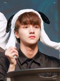 最近のk Popの練習生で かっこいい方はいますか 事務所問いませ Yahoo 知恵袋