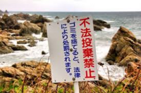 釣った魚の内臓をとって 海に捨てるのってありですか Yahoo 知恵袋