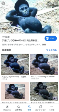 ダウンタウンの浜田雅功はなぜゴリラ呼ばわりされてるんですか どちらかとい Yahoo 知恵袋