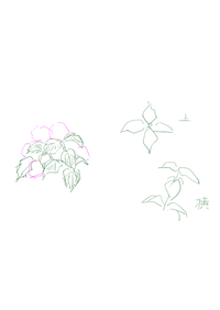 紫陽花の葉っぱの描き方教えて下さい まだ途中なんですけど全然紫陽花っぽく Yahoo 知恵袋