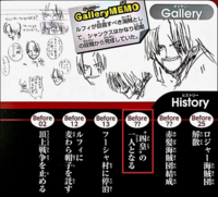 ワンピースのミホークの強さが過大評価されてると主張する人がよく唱える意見は Yahoo 知恵袋