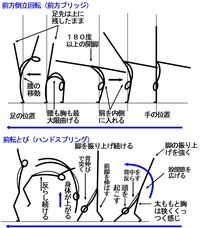 前方倒立回転ってポンって起き上がらなくていいですよね それって Yahoo 知恵袋