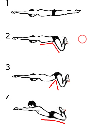平泳ぎでお尻だけ浮くのはなぜですか Yahoo 知恵袋