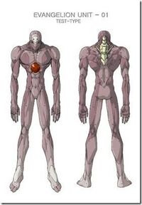 エヴァンゲリオン エヴァ初号機の装甲の下には使徒がいるんですか Yahoo 知恵袋
