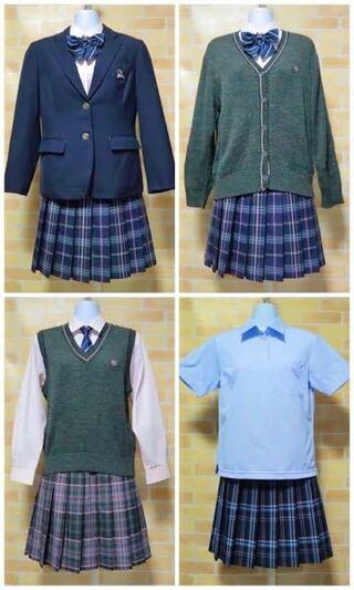 浦和麗明高等学校の制服は可愛いと思いますか Yahoo 知恵袋
